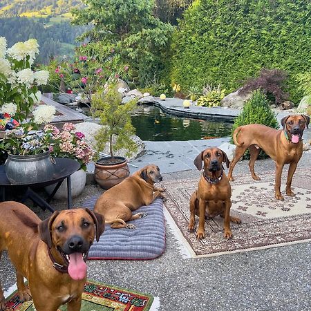 Ferienwohnung Waltensburg Breil/Brigels Bagian luar foto